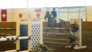 Ruby - Jumper For Sale