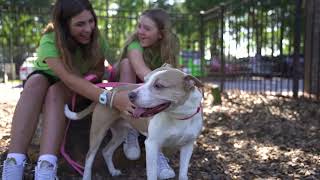 Glorious (Rock Dog) Charleston Voices Youth Choir