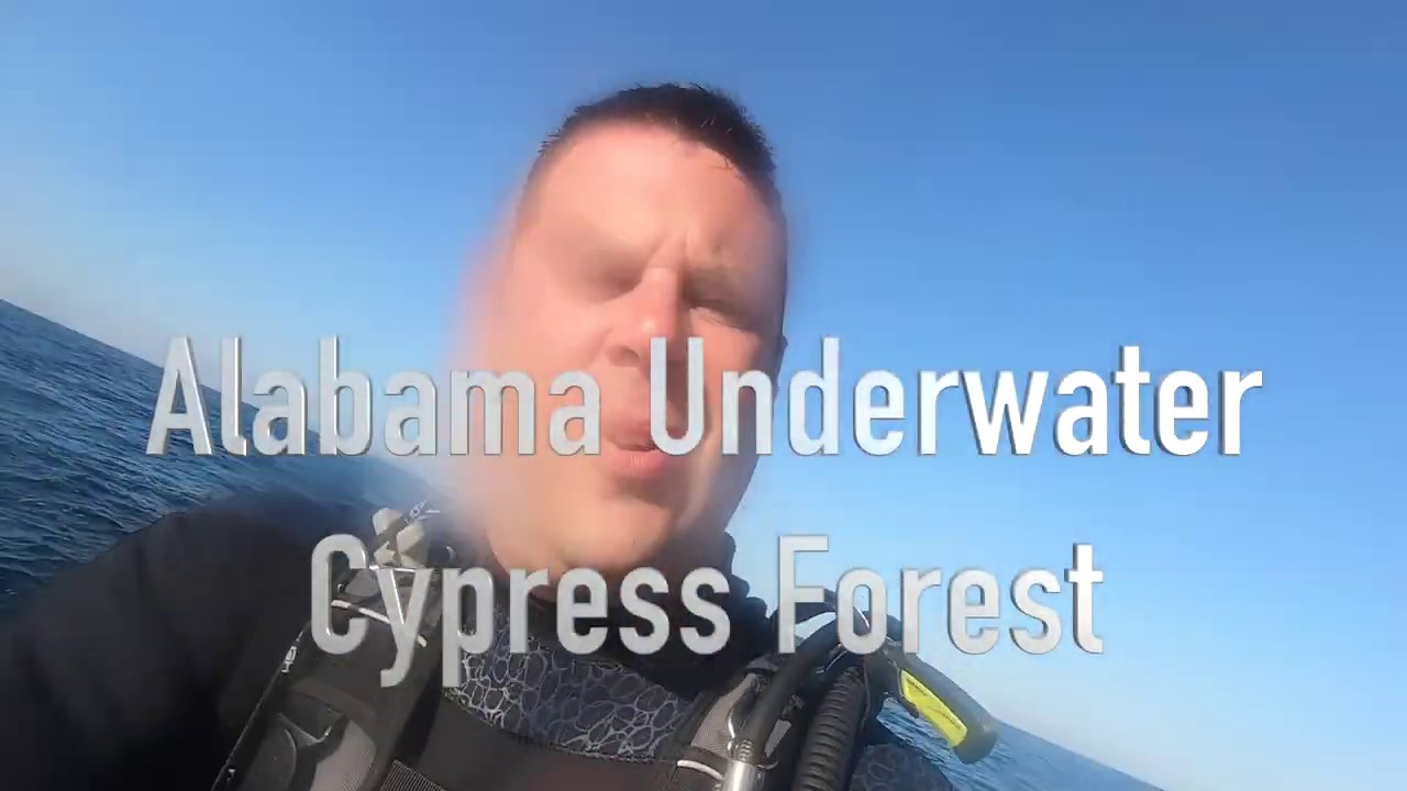Alabama Underwater 60,000 Year Old Cypress Forest YouTube