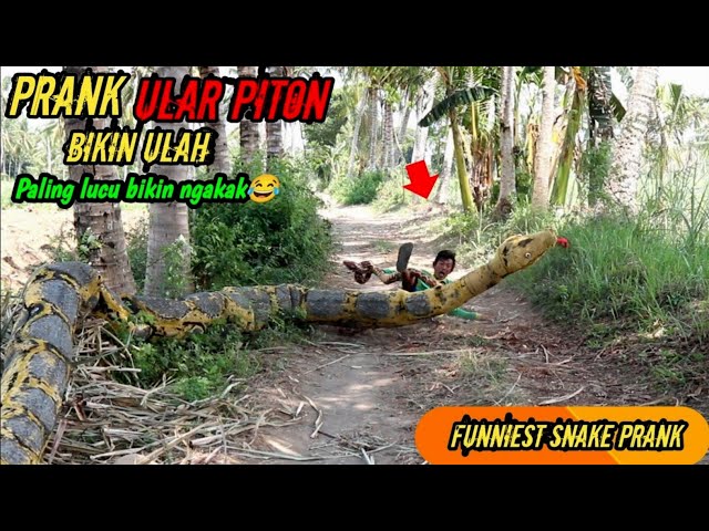 Prank Ular Piton Raksasa || Super Lucu Paling Ngakak 🤣🤣 || Snake Giant Prank class=