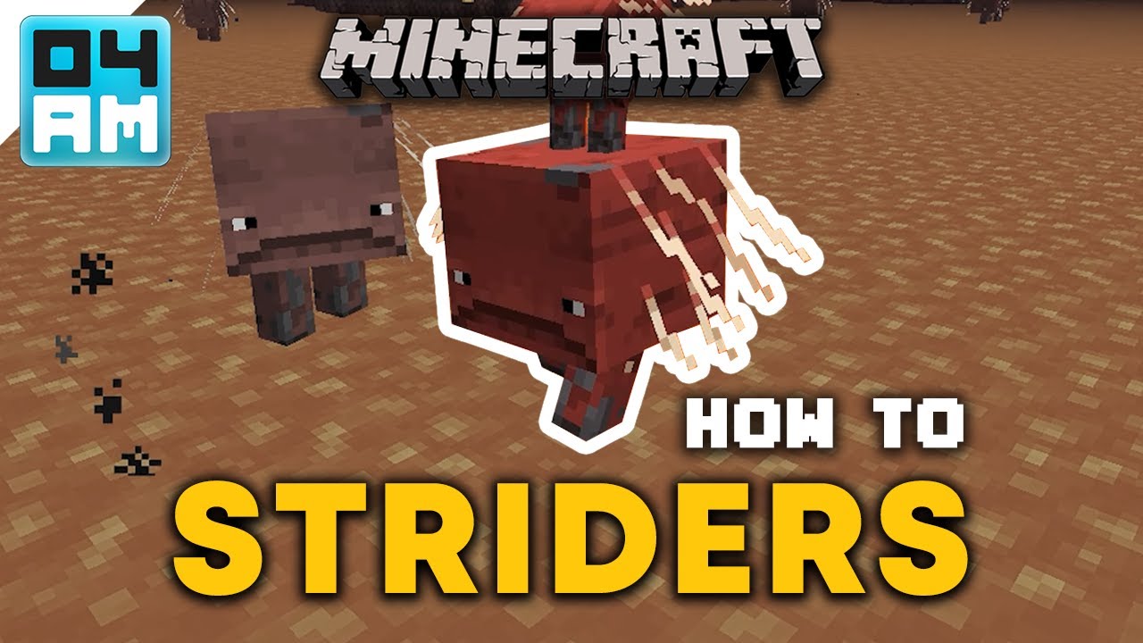 How To Breed & Ride Striders in Minecraft 1.16 Nether Update - YouTube