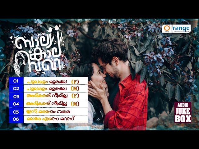 Superhit Romantic Album Baalyakala Sakhi Malayalam Album Song Jukebox Janapriyan class=