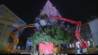 Covent Garden Christmas tree Time lapse
