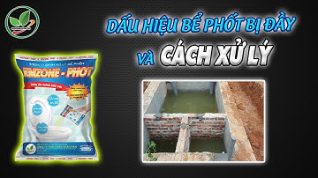 Dấu hiệu nhận biết bể phốt bị đầy và cách xử lý bể phốt bị đầy