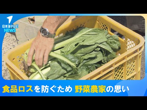 Preventing Food Waste] 