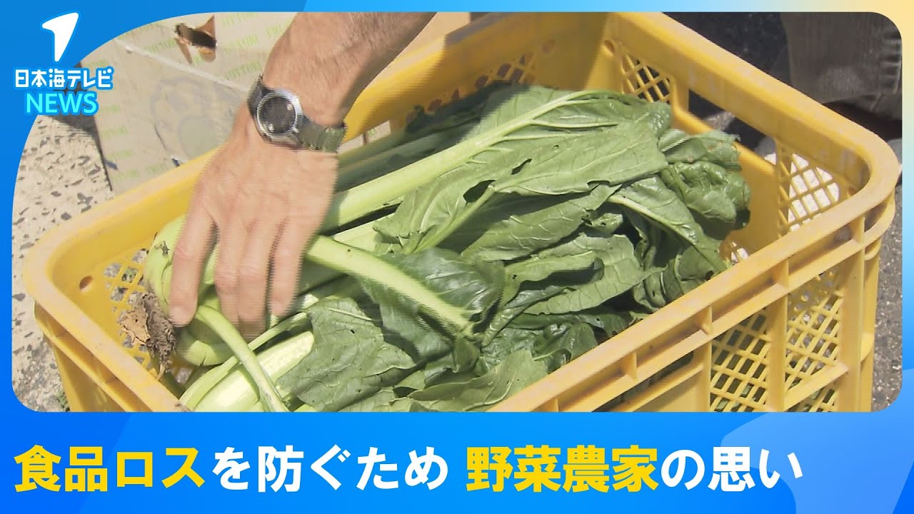 フードロスを防ぐ】「大切に育てた野菜を捨ててしまうのはもったいない