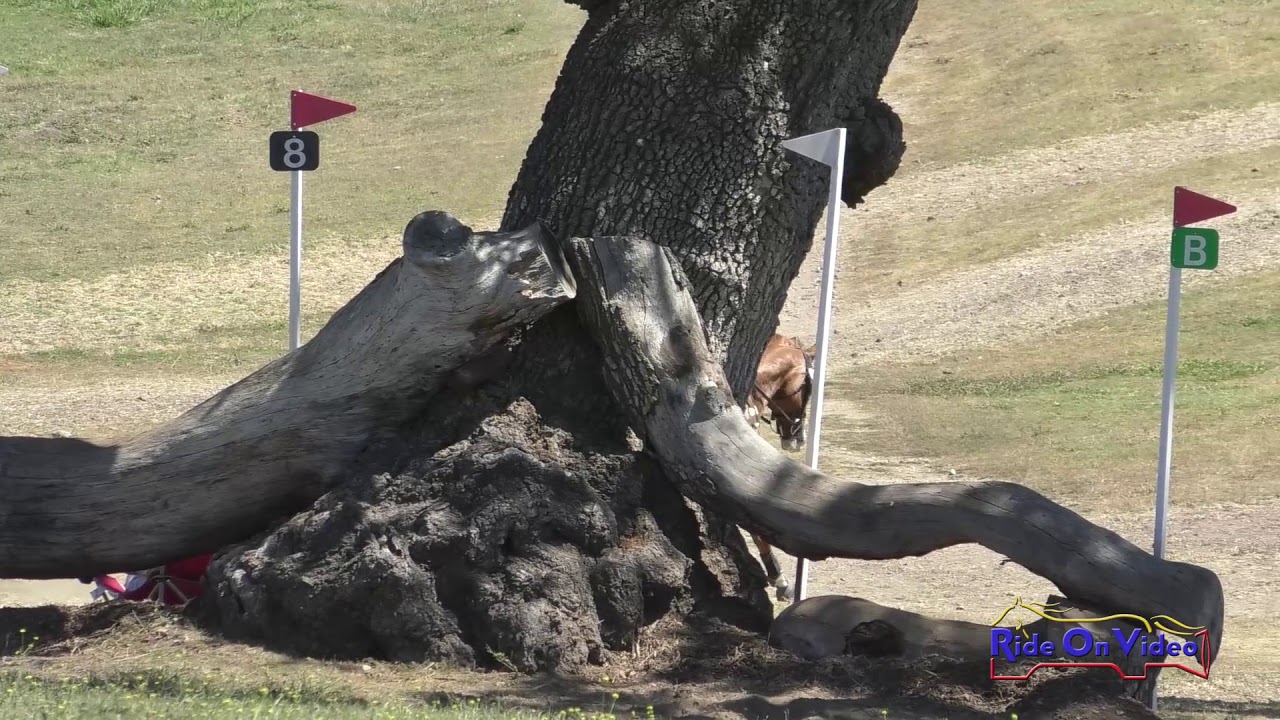 horseshoe bend 118XC Chloe Kischuk on Dun with You Intro Cross Country Shepherd Ranch August 2019