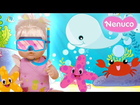 Nous apprenons les animaux marins 🐟🐙 Vidéos éducatives pour enfants