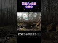 林道八ヶ岳線　#Shorts