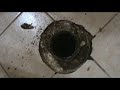 How to replace a toilet flange on a concrete floor