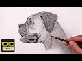 How To Draw a Dog | Boxer Sketch Tutorial