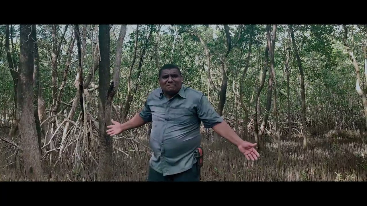 Quitare Las Angustias De Tu Corazon - Hector Fuentes