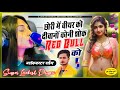 Red bull song  lovekush dungri         redbull     