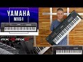 Yamaha mx61 v2 review  demo  by tiago mallen