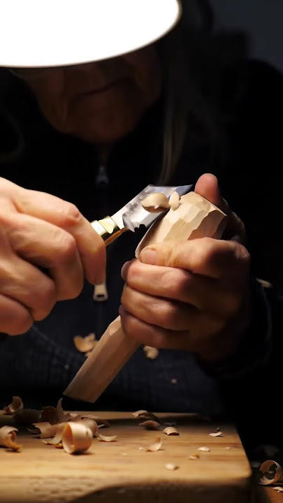 From a Wood Block to an Owl in 60 Seconds 黎