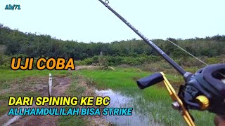 Vlg 71 || UJI COBA DARI SPINING KE BC MALAH DI SAMBARIN KOCOLAN #fishing #mancing