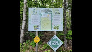 Williamsburg Forest: Forest Adaptation & Implementation, Women in Forestry