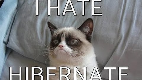 Hibernate. Что он может сделать за тебя? (Часть 1)