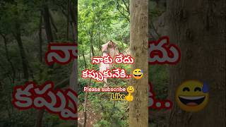 naku leedhu kappukuneeki..😅 #tren #shorts #viral #pleasesubscribe #funnyvoiceover #comedy #monkey..