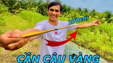 Câu Cá Và Review Cần Câu DAIWA 1,5H 167k | Anh Tư Khải TV