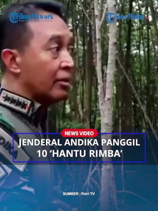 Jenderal Andika Panggil 'Hantu Rimba' yang Berhari-hari Tidur di Hutan Mangrove