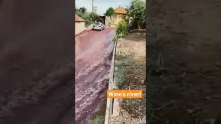 Wines River After Accident At The Factory