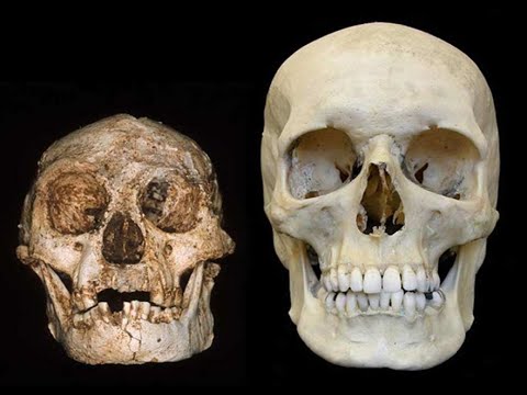 Video: Scientists Have Made A Sensational Statement About The Mysterious People Of 