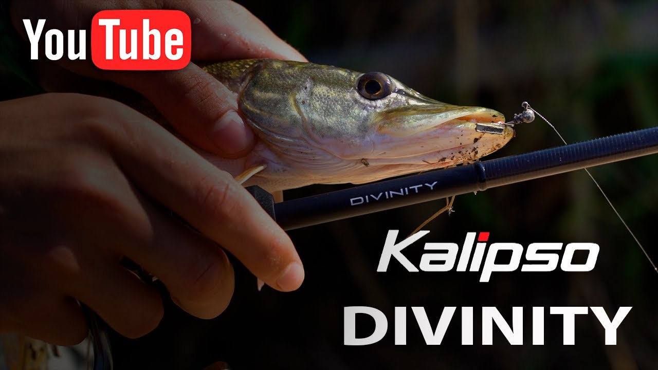 KALIPSO DIVINITY. Лінійка джигових вудилищ від Kalipso.