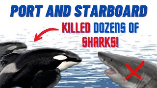 Port & Starboard 2009-2023 Most Prolific Shark Killers Ever Recorded