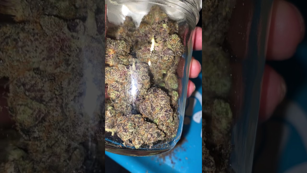 Exotic apple Apple fritter