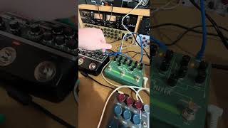 Moog bass. #moog #synth #synthesizer #ableton #pedal