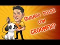 TOSA DE POODLE: O Segredo do GROOMER - Saúde e Segurança (Patas, Focinho e Ouvido) | Guia de Raças