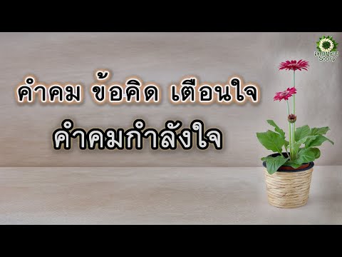 คำคม ข้อคิด เตือนใจ คำคมกำลังใจ