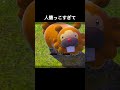 人慣れしすぎてるビッパ #ポケモンスナップ #ポケモン