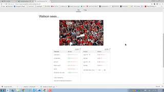 Ibm Cloud Visual Recognition System - The Importance Of Listening