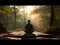 Meditar 20 Minutos | Ondas Theta ✨ Frecuencias Theta de Latidos Binaurales