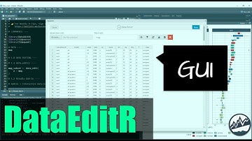DataEditR: The GUI for Interactive Data Frame Editing in R