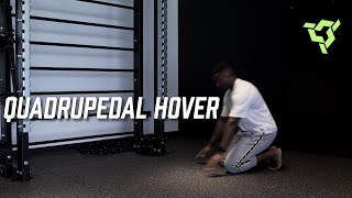 Quadrupedal Hover