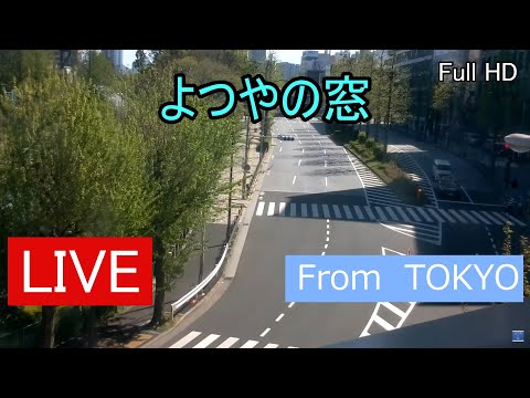 Shinjuku–Yotsuya City View live cam preview