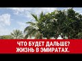 Что будет дальше? Жизнь в ОАЭ.