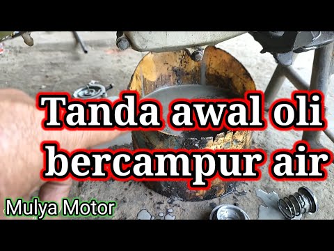 Ciri ciri air Masik ke oli motor radiator