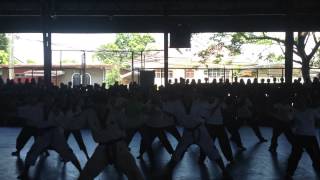 SVNHS Taekwondo demo
