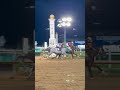 Is MAGNITUDE the Best Horse in the World?