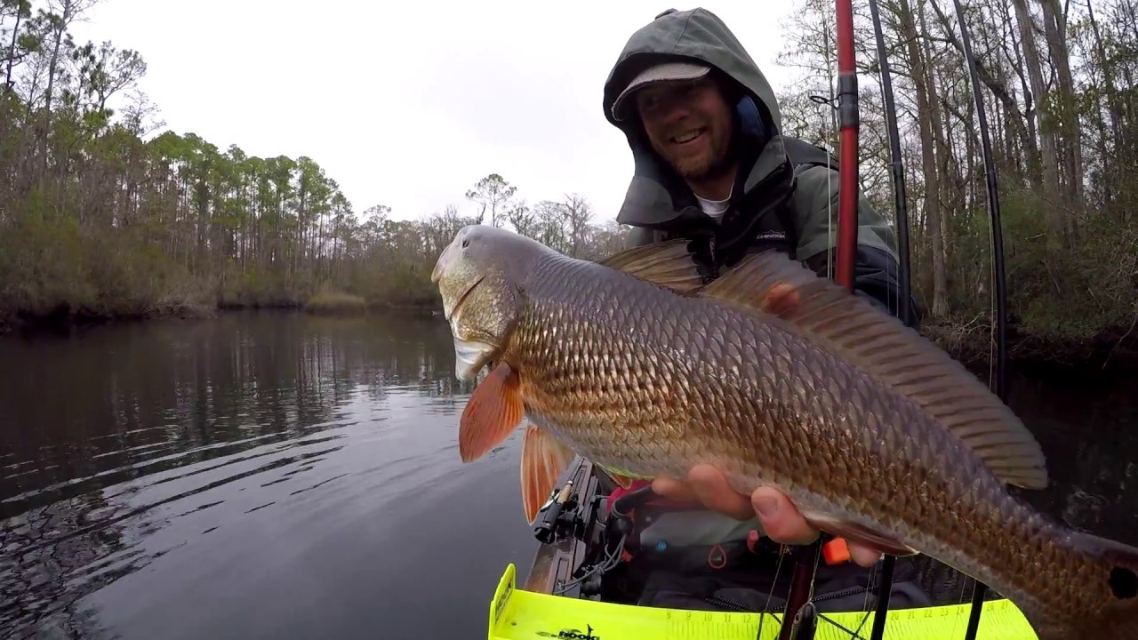 Inshore Kayak Fishing Pensacola Florida YouTube