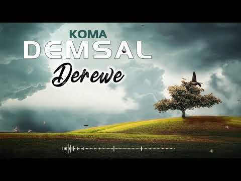 GRUP  DEMSAL (ÖMER YEŞİL) - DEREWE