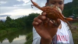Cara Mancing Kepiting dengan Mudah