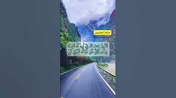 سورة القصص الاية 25-27