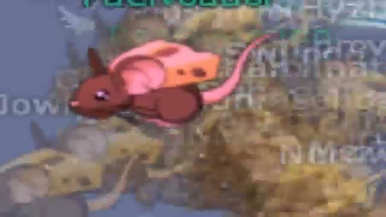 Faelvoador  - «Invisivel» | RACING 16K