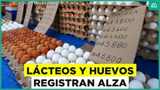 IPC de mayo fue del 0,2%: Precios de huevos y lácteos vuelven a subir