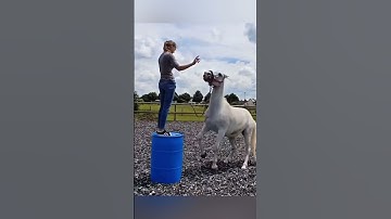 The latest 3-minute short film... Part 3#adamrose #construction #engineering #workers